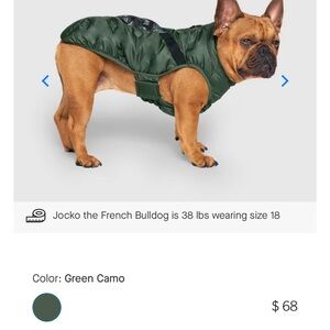 Canada Pooch Camo Dog Puffer Jacket